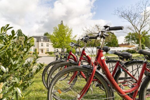 Camping Sandaya Château des Marais - Frankrijk