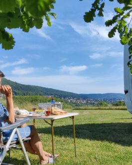 Camping Seasonova Les Vosges du Nord - Frankrijk