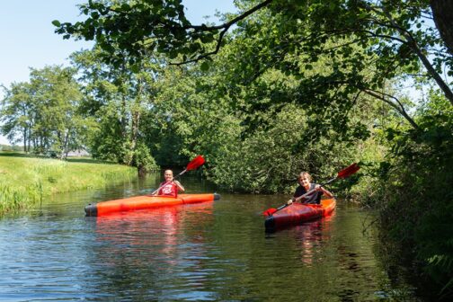 Camping Rijsterbos - Nederland