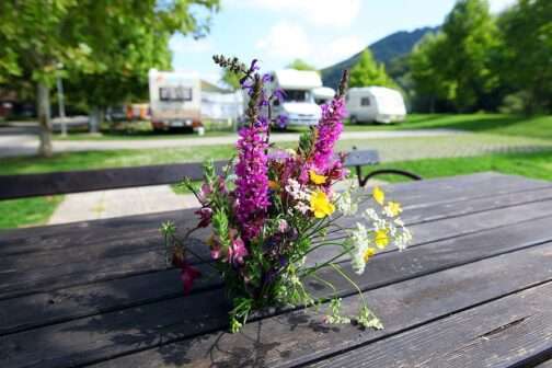 Camping Terme Olimia/Natura - Slovenië