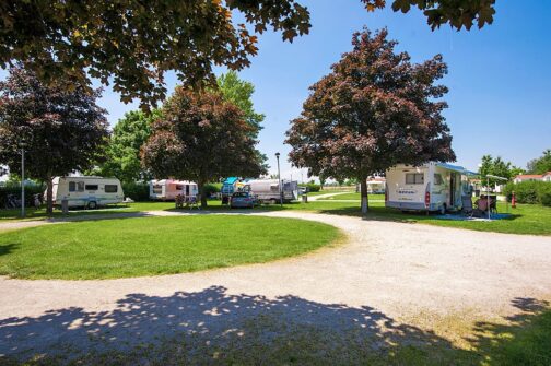 Camping Terme Ptuj - Slovenië