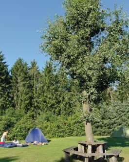 Campingplatz Auf dem Simpel - Duitsland