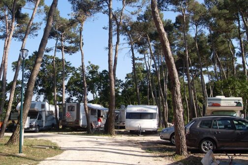 Camping Bosco Selva - Italië