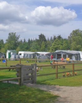 Camping De Rusthoeve - Nederland