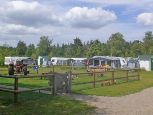 Camping De Rusthoeve - Nederland