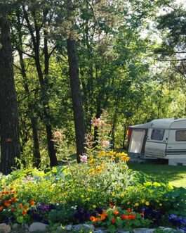 Camping Le Reclus - Frankrijk