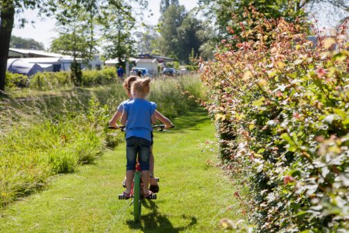 Camping Den Blanken - Nederland