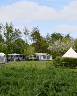 Camping Robersum - Nederland