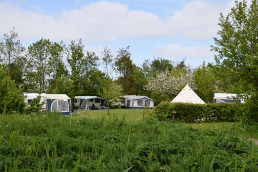 Camping Robersum - Nederland