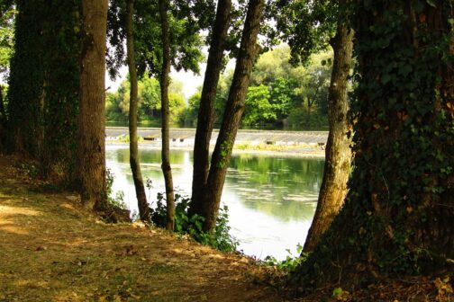 Camping de l'Ile - Frankrijk