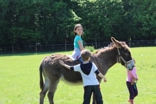 Camping-Ferme de Prunay - Frankrijk