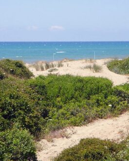 Camping Internazionale Castelfusano - Italië