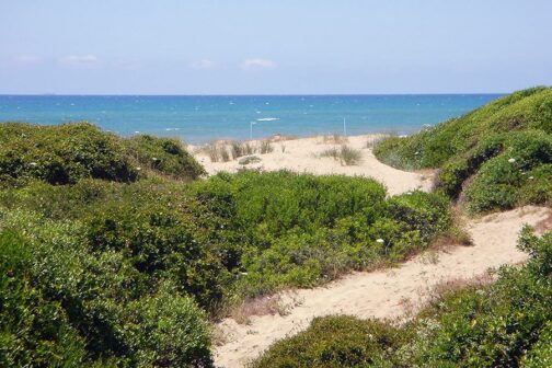 Camping Internazionale Castelfusano - Italië