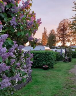 Kongsøre Camping - Denemarken