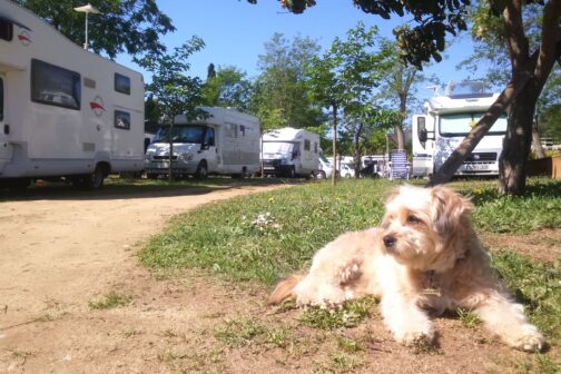 Camping Lloret Blau - Spanje