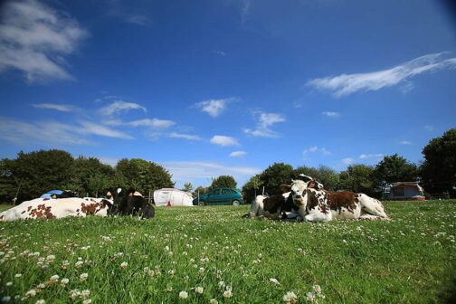 Camping De la Ferme de Croas-Men - Frankrijk