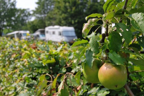 Camping De Hooiberg - Nederland