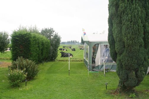 Camping De Grienduil - Nederland