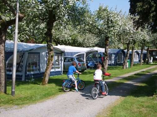 Camping De Linie - Nederland