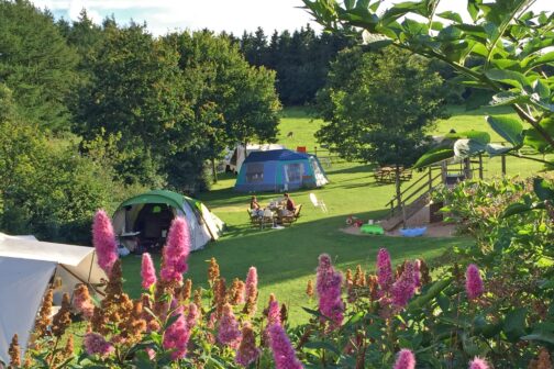 Camping Gyvelborg - Denemarken