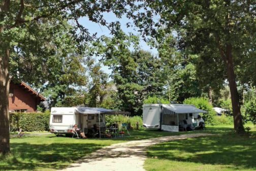 Camping Domein De Schuur - België