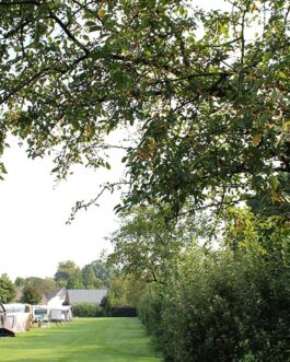 De Betuwe Hoeve - Nederland