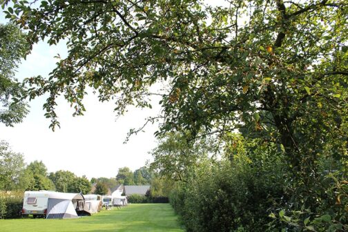 De Betuwe Hoeve - Nederland