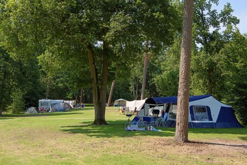 RCN het Grote Bos - Nederland