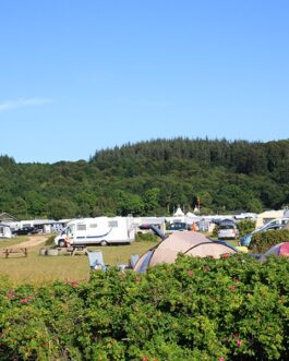 Rosenvold Strand Camping - Denemarken