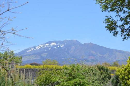 Mons Gibel Camping Park - Italië