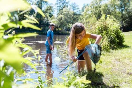 Camping de Pallegarste - Nederland