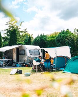 Vakantiepark Delftse Hout - Nederland