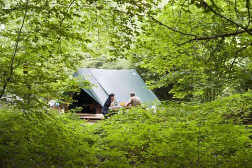 Camping Huttopia Rambouillet - Frankrijk