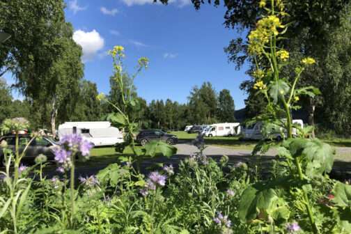 Camping Hammarstrands Camping - Zweden