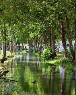 Camping du Buisson - Frankrijk