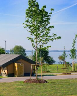 Campingplatz Sonnenkap - Duitsland