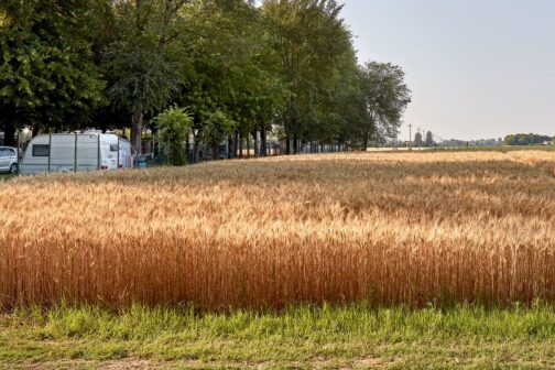 Camping Aquileia - Italië