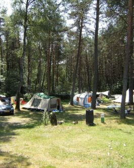 Camping Les Sapins de Corrèze - Frankrijk