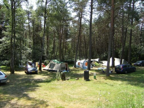 Camping Les Sapins de Corrèze - Frankrijk