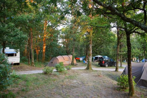 Sites & Paysages de l'Etang de Bazange - Frankrijk