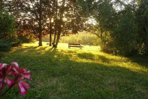 Camping Domaine de Corneuil - Frankrijk