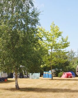 Camping Le Fief Angibaud - Frankrijk