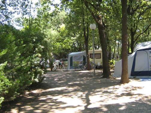 Camping L'Etoile d'Or - Frankrijk