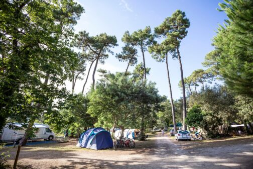 Camping Huttopia Oléron Les Chênes Verts - Frankrijk