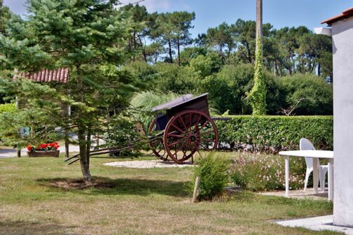 Camping Le Fief Angibaud - Frankrijk