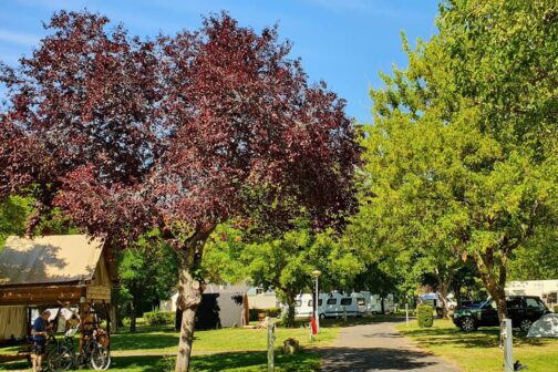 Camping Les Patîs - Frankrijk