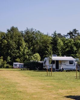 Camping De Bovenberg - Nederland