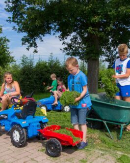 Recreatie- & Hertenboerderij De Weerd - Nederland