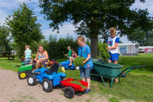 Recreatie- & Hertenboerderij De Weerd - Nederland